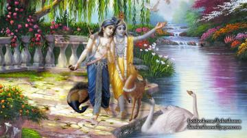 Krishna Balaram Wallpaper Size Hare
