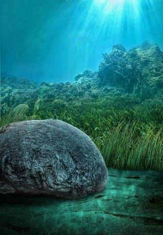 Picsart Background In