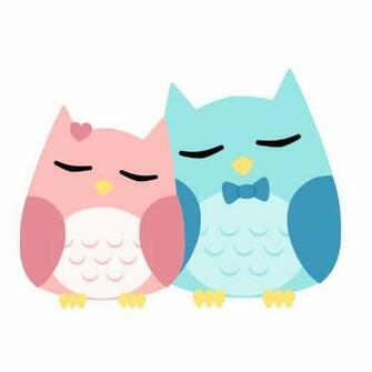 Cute Cartoon Vector Owl Couple Photo Cut Outs
