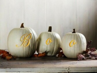 Package Holiday Thanksgiving White Pumpkin Wallpaper Photos