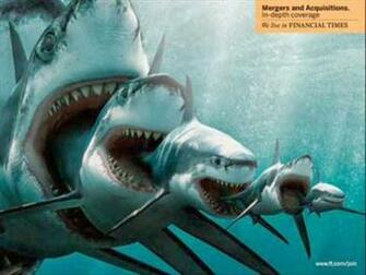Megalodon Monster Shark HD Wall Wallpaper
