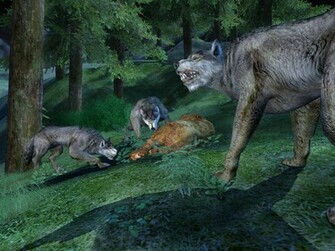 Wallpaper Lotro The Lord Of Rings Online Mmorpg News