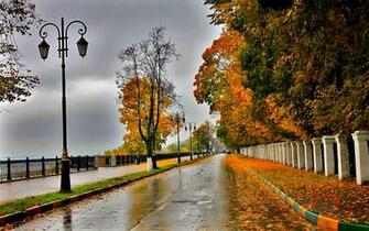 Chuva De Outono Vetor