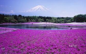 Bing HD Wallpaper Pictures Pics Photos Image Desktop