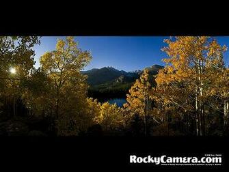 Wallpaper Of Plants Rocky Mountain National Park Includes