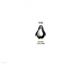 Funny Quote Wallpaper Mhytic