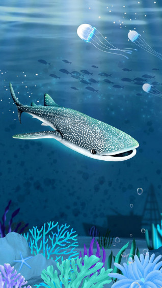 Whale Shark iPhone Wallpaper