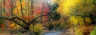 Fall Stream Cover Pre