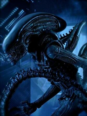 Aliens Movie Wallpaper High Quality