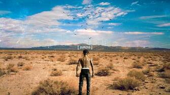 Birds Custom Wallpaper Album Cover