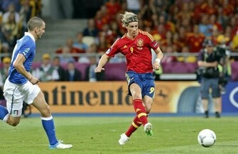 Spain National Football Team Euro Fernando Torres Stars