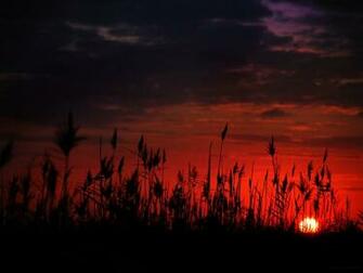 The Setting Sun By Gilad