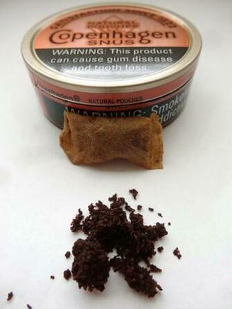 Grizzly Wintergreen Wallpaper Copenhagen Snus