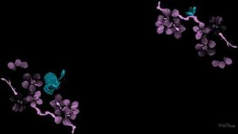 Cherry Blossoms Butterflies HD Wallpaper