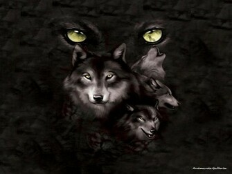 Wolf Pack Wallpaper