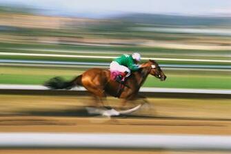 Racing Horses Wallpaper Jockey Horse