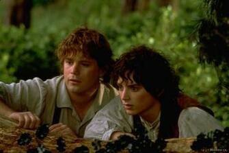 The Fellowship Of Ring HD Wallpaper In Movies Imageci