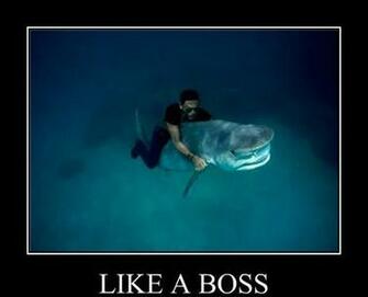 Image Funny Like A Boss Meme Pc Android iPhone And iPad Wallpaper