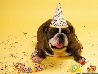 Wallpaper Party Time Funny Animal