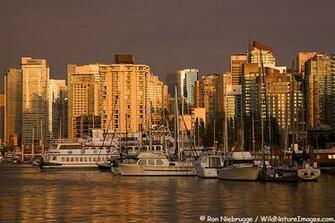 Vancouver Skyline Pictures