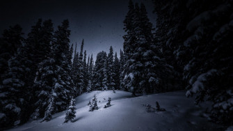 Dark Snow Wallpaper