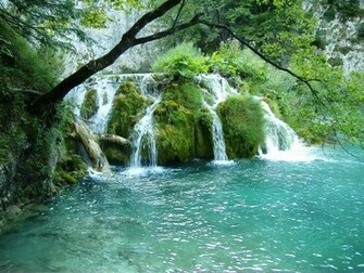 Cool Spring Background