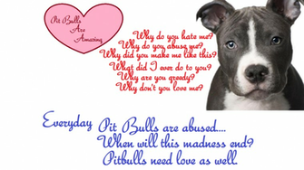 Pit Bull Wallpaper By Dragonlance102