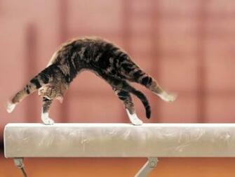 Cool Gymnastics Background I