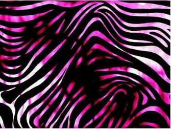 Zebra And Cheetah Wallpaper Clip Art