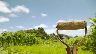 Wallpaper Shovel Handle Vegetable Garden HD
