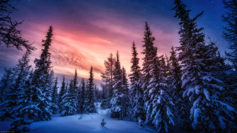 Take In The Breathtaking Winter S Wallpaper
