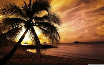 Sunset Pictures Tropical Island
