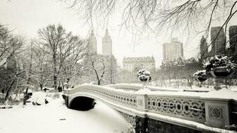 World Winter Snow New York City Usa Central Park