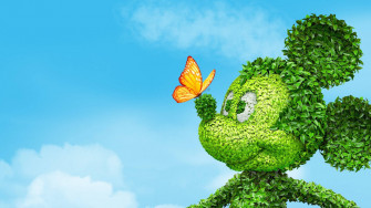 Fondos De Fotos Disney Wallpaper