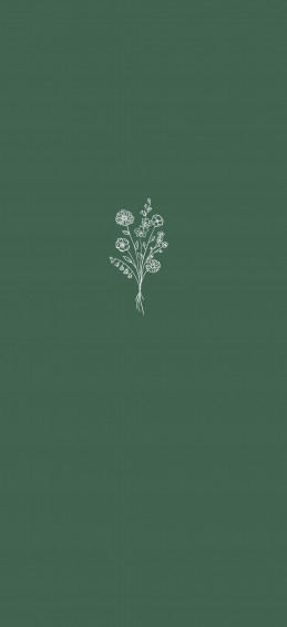 Aesthetic Minimalist iPhone Wallpaper