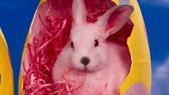 Easter Wallpaper