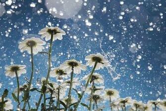 Beautiful Rain HD Wallpaper