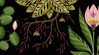 Subtle Sense The Animated Wallpaper Installation Publicis Botanical