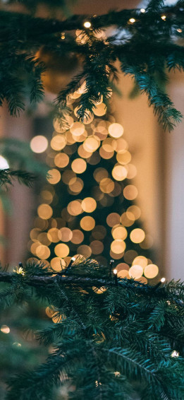 Cute Christmas iPhone Wallpaper