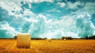 Wallpaper High Quality Definition