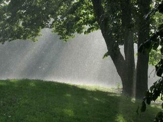 Photo Sunshower Bspo06 Drops Grass Jooinn