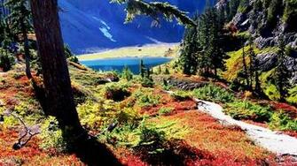 Baker Washington State Grass Lakes Landscapes Wallpaper