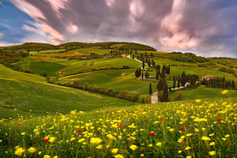 Italy Meadow Hill Flower Cloud Summer Photography Tuscany HD Wallpaper