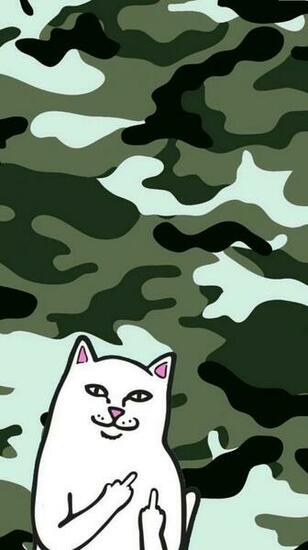 Ripndip iPhone Wallpaper Middle Finger Cat