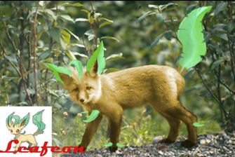 Live Action Leafeon By Necromancerx69