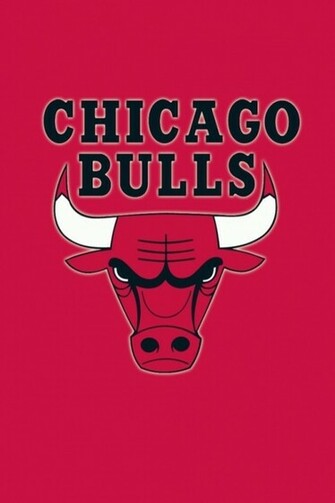 Chicago Bulls iPhone 4s Wallpaper