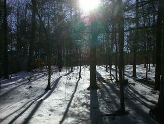 New York Winter Wallpaper Scenes Woodstock Woods In