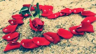 Awesome Cute Love Flower Wallpaper