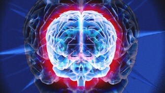Go Back Pix For Brain Wallpaper HD