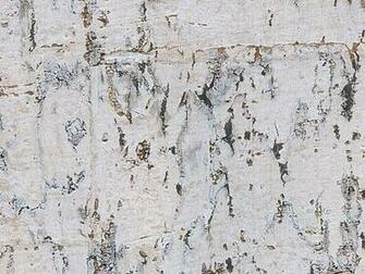 Birch Accents Slideshow Home Garden Purewow National